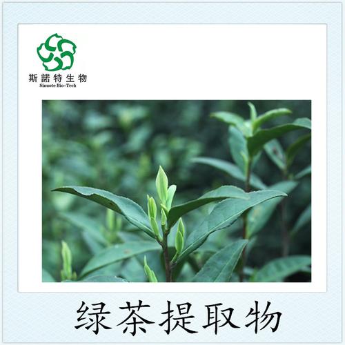 绿茶速溶粉